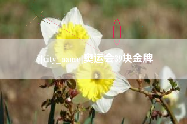 定安奥运会39块金牌