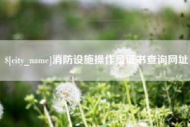 定安消防设施操作员证书查询网址