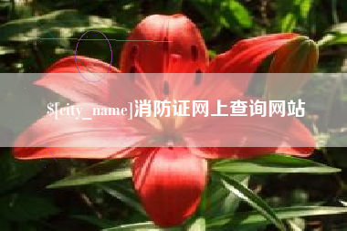 定安消防证网上查询网站