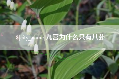 定安九宫为什么只有八卦