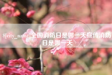 定安全国消防日是哪一天宣传消防日是哪一天