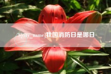 定安我国消防日是哪日