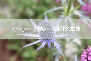 定安消防ccc认证什么意思