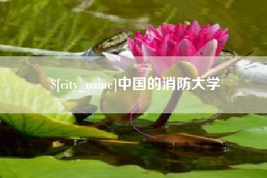 定安中国的消防大学