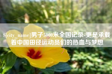 定安男子5000米全国记录-更是承载着中国田径运动员们的热血与梦想