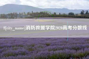 定安消防救援学院2020高考分数线
