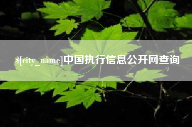 定安中国执行信息公开网查询