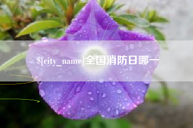 定安全国消防日哪一