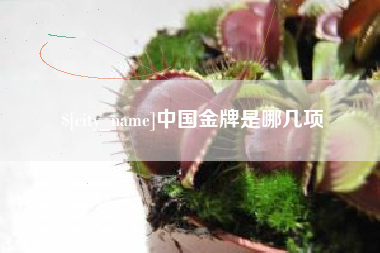 定安中国金牌是哪几项