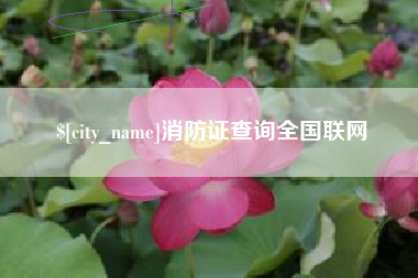 定安消防证查询全国联网