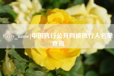 定安中国执行公开网被执行人名单查询