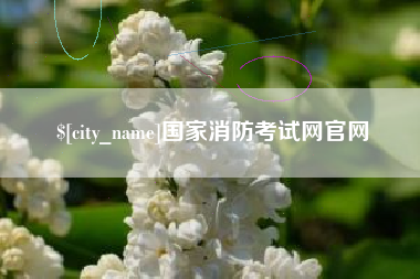 定安国家消防考试网官网