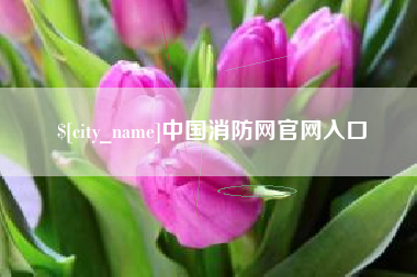 定安中国消防网官网入口