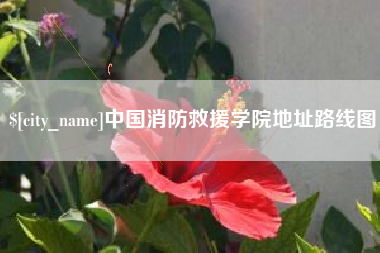 定安中国消防救援学院地址路线图