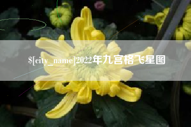 定安2022年九宫格飞星图