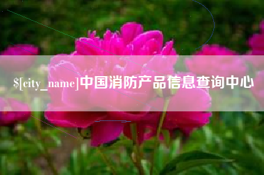 定安中国消防产品信息查询中心