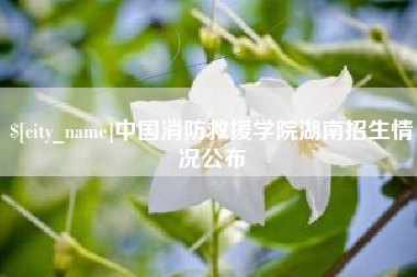 定安中国消防救援学院湖南招生情况公布