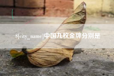定安中国九枚金牌分别是