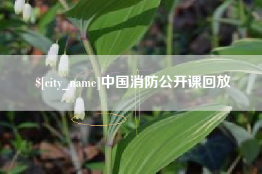 定安中国消防公开课回放
