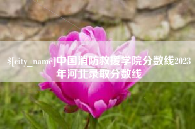 定安中国消防救援学院分数线2023年河北录取分数线