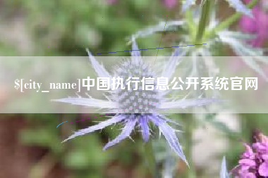 定安中国执行信息公开系统官网