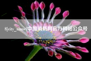 定安中国消防网官方网站公众号