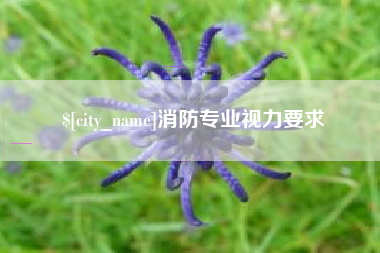 定安消防专业视力要求