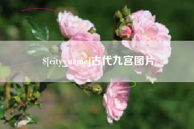 定安古代九宫图片