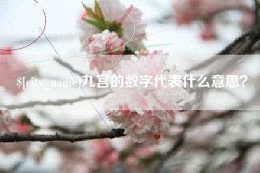 定安九宫的数字代表什么意思？
