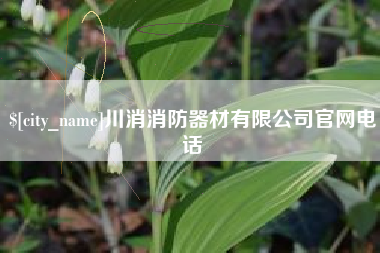 定安川消消防器材有限公司官网电话