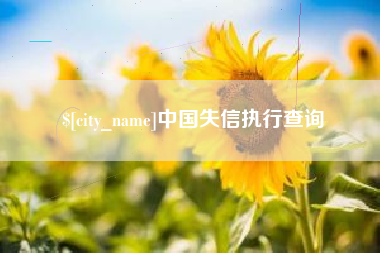 定安中国失信执行查询