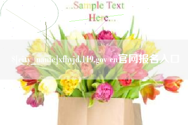 定安xfhyjd.119.gov cn官网报名入口