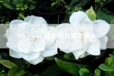 定安中国的几块金牌2021