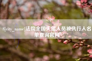 定安法院全国失信人员被执行人名单查询官网