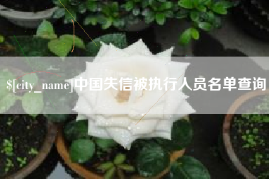定安中国失信被执行人员名单查询