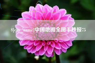 定安中国地图全图手抄报75