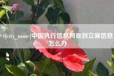 定安中国执行信息网查到立案信息怎么办