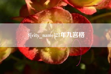 定安21年九宫格