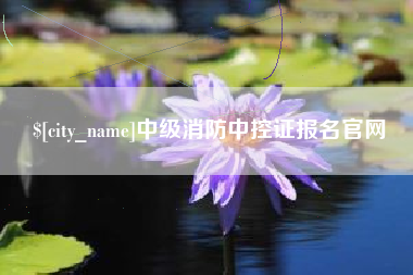 定安中级消防中控证报名官网
