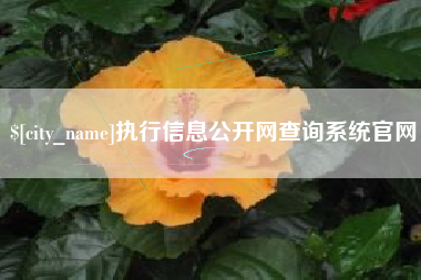 定安执行信息公开网查询系统官网