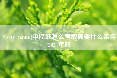 定安中控证怎么考取需要什么条件2024年的