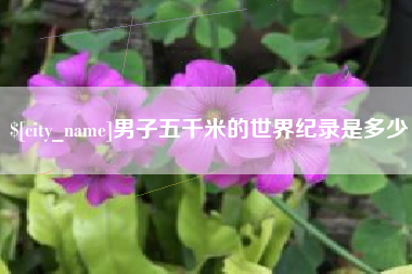 定安男子五千米的世界纪录是多少