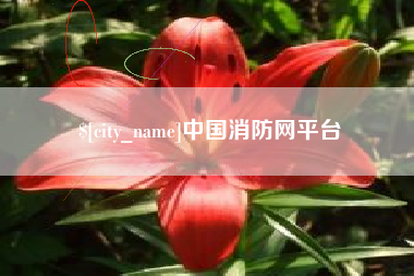 定安中国消防网平台