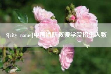 定安中国消防救援学院招生人数
