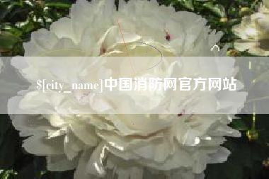 定安中国消防网官方网站