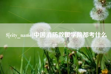 定安中国消防救援学院都考什么