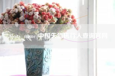 定安中国失信执行人查询官网