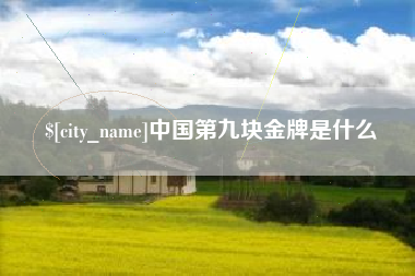 定安中国第九块金牌是什么