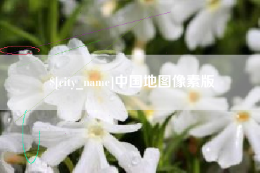 定安中国地图像素版