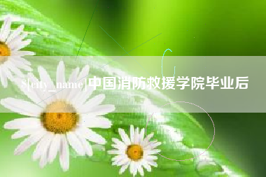 定安中国消防救援学院毕业后